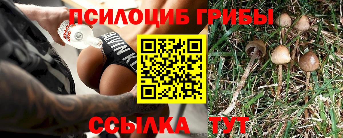 Галлюциногенные грибы прущие грибы  Вход с VPN  Алексеевка 