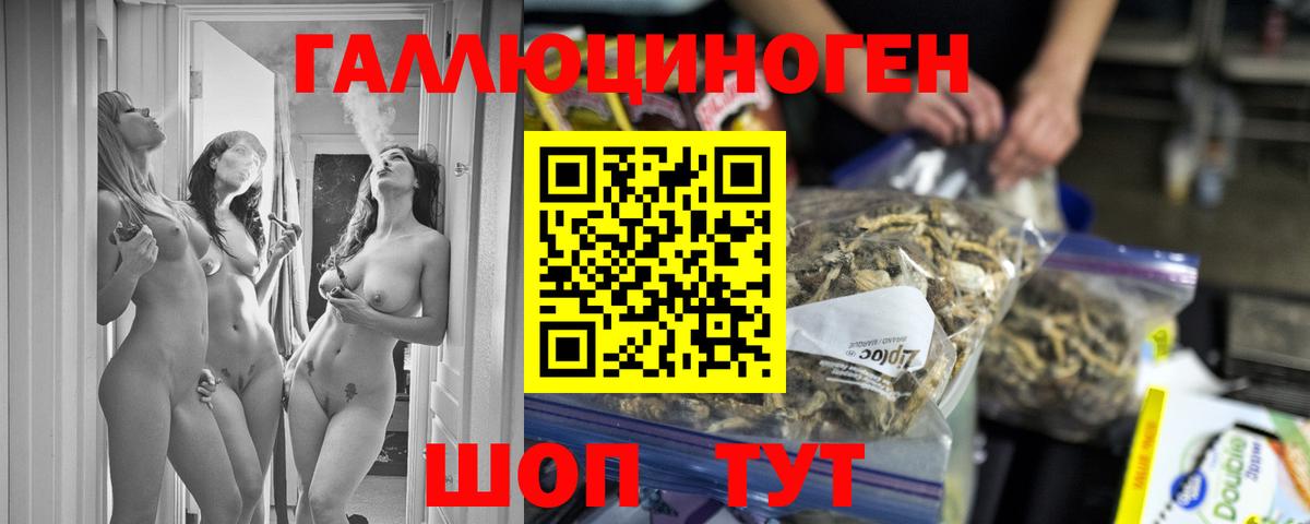 Псилоцибиновые грибы ЛСД Алексеевка